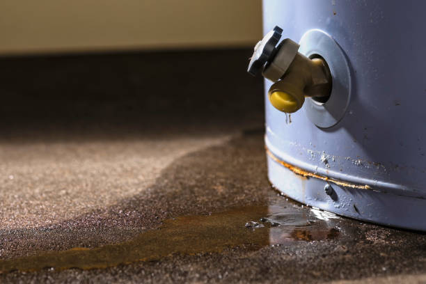 Best Carpet water damage restoration  in Federal Y, WA
