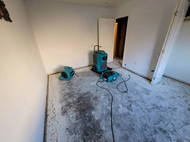 Best Commercial water damage restoration  in Federal Y, WA