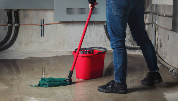 Best Professional water damage repair  in Federal Y, WA