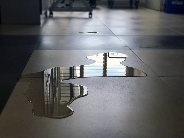 Best Water damage restoration near me  in Federal Y, WA