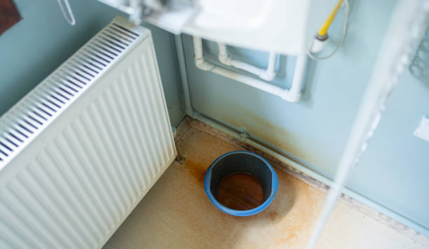 Best Flooded house restoration  in Federal Y, WA