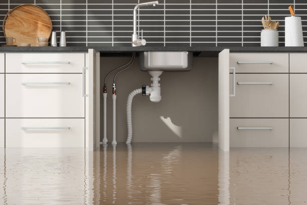 Reliable Federal Way, WA Water damage restoration Solutions
