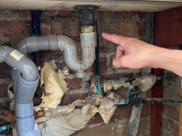 Best Water damage restoration near me  in Federal Y, WA