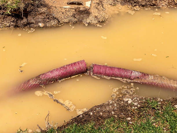 Best Emergency water damage restoration  in Federal Y, WA
